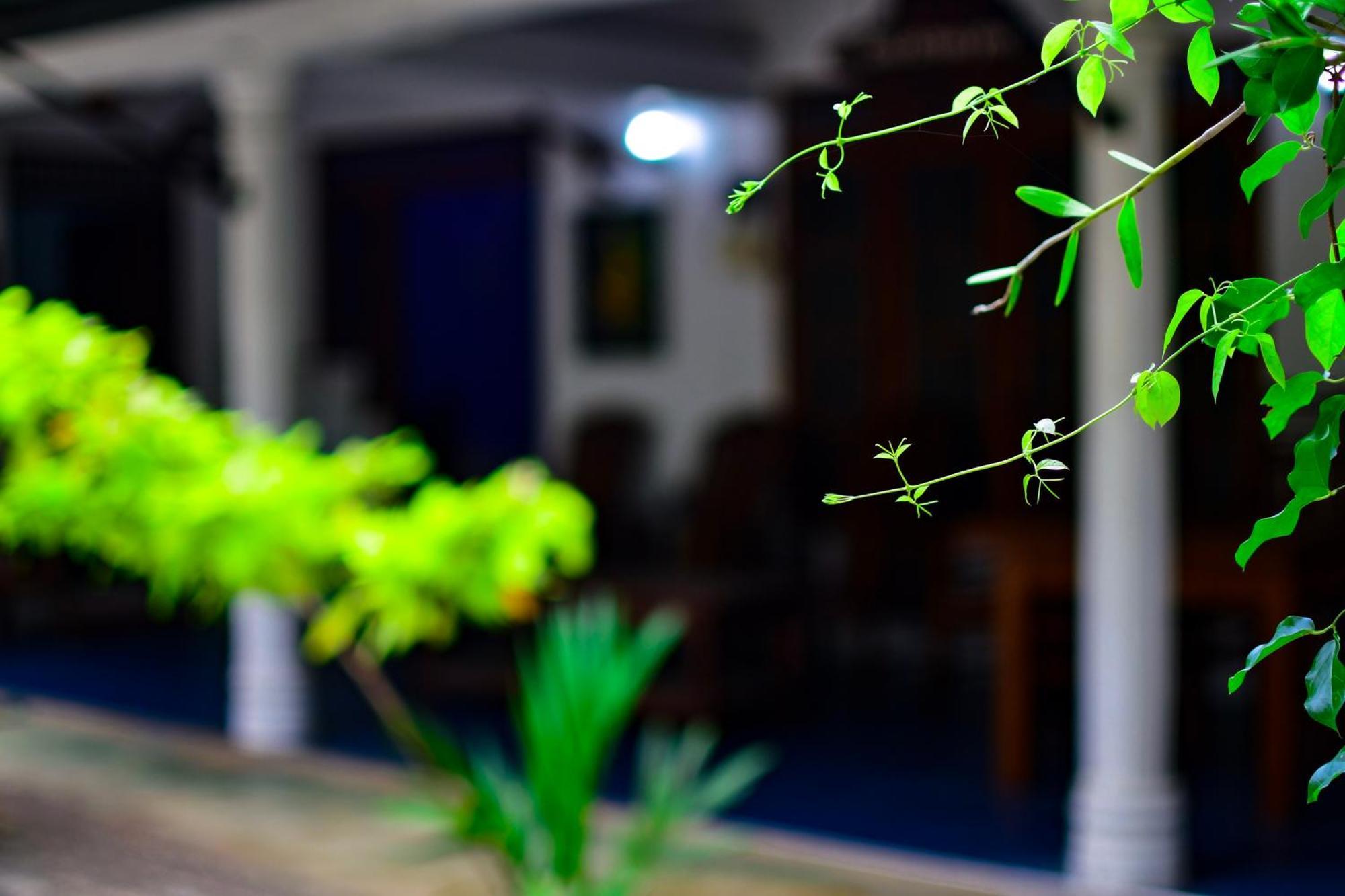 Tourist Holiday Inn Dambulla Extérieur photo